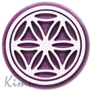 ROSETÓN DE VIVEIRO Lila