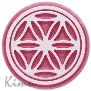 ROSASSA DE VIVEIRO Rosa