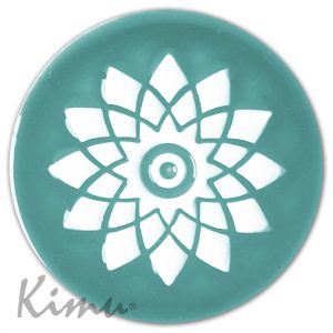 ESTRELLA POLAR Océano